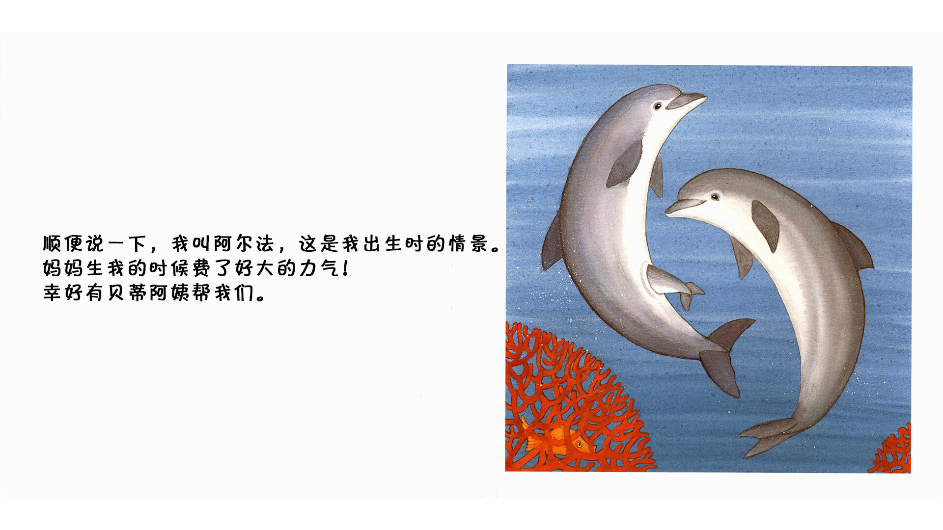 海豚绘本故事第4页