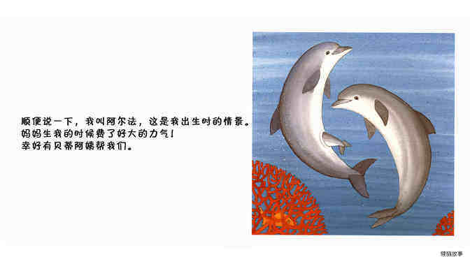 海豚绘本故事第4页