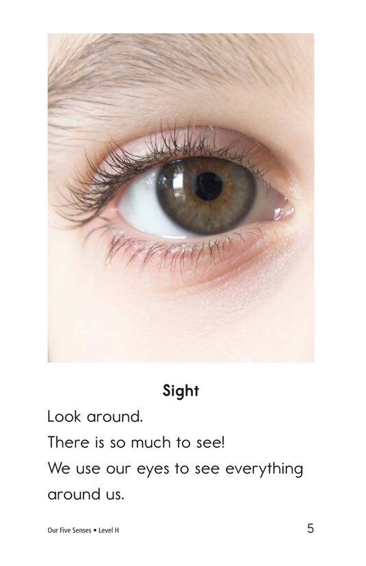 Our Five Senses绘本故事第4页