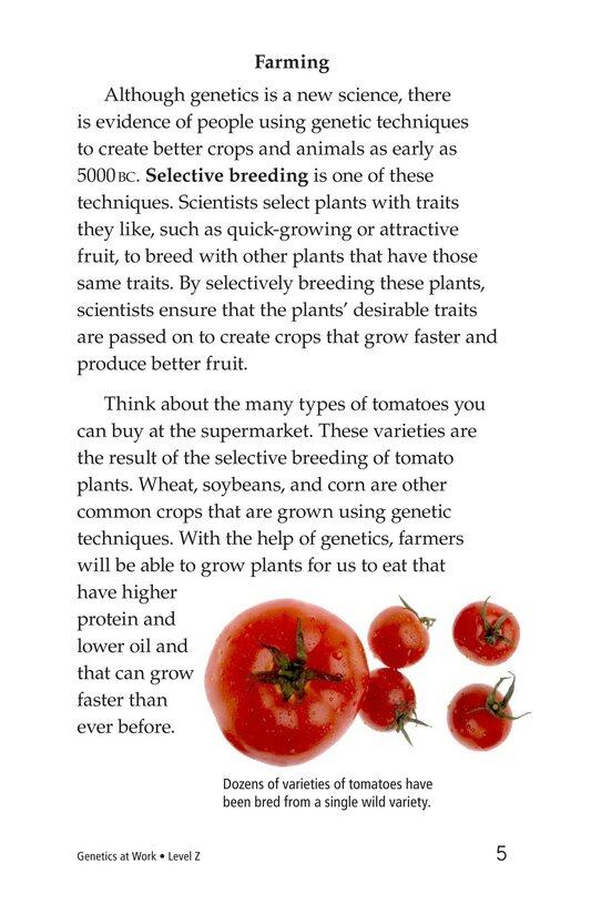 Genetics at Work绘本故事第4页