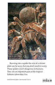 Goliath Bird Eating Spiders Giant Arachnids绘本故事第4页