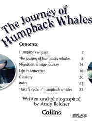 The Journey of Humpback Whales