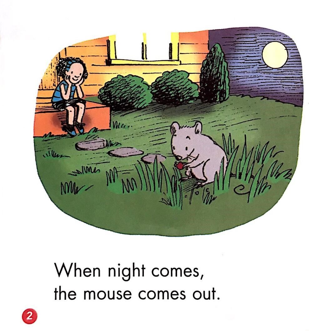 When night comes绘本故事第2页
