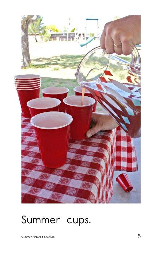 Summer Picnics绘本故事第5页