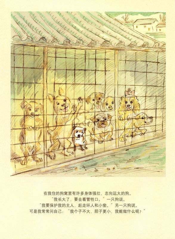 我的名字叫波特绘本故事第3页