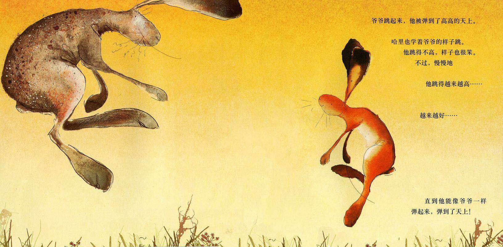 哈里的大脚绘本故事第4页