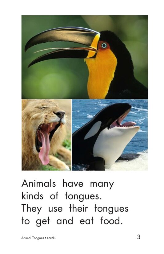Animal Tongues绘本故事第3页