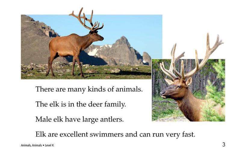 Animals,Animals绘本故事第3页