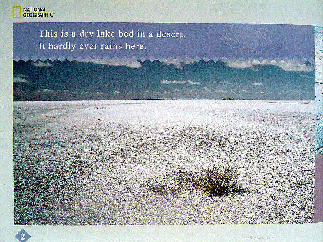 desert rain绘本故事第3页