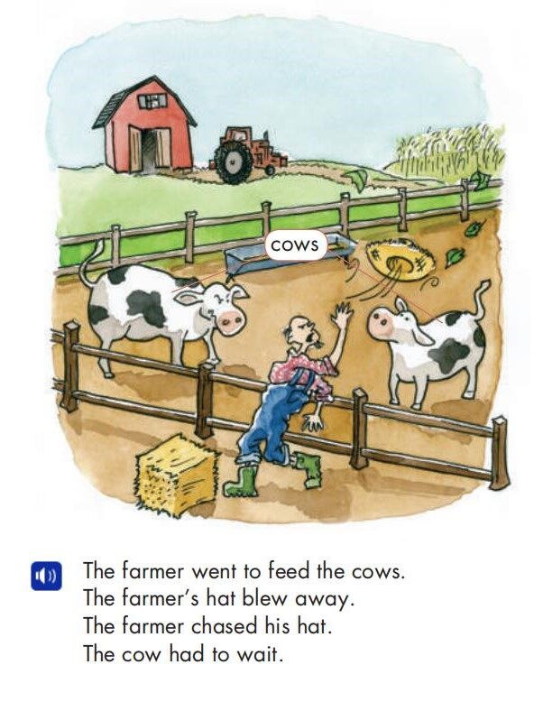 The Farmer's Hat绘本故事第4页