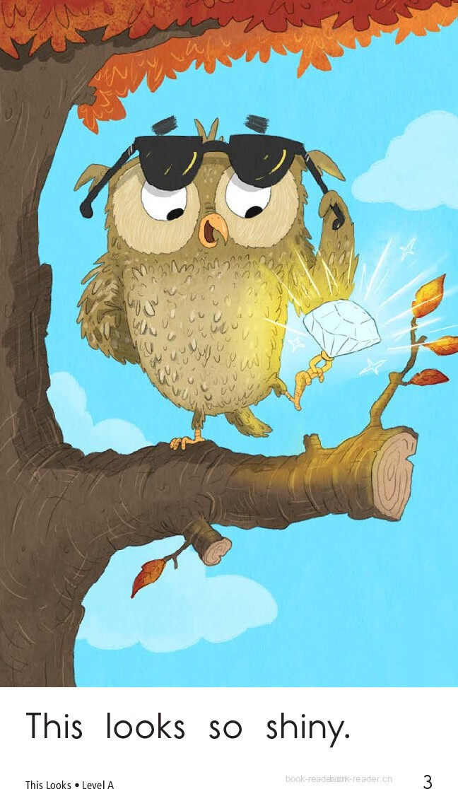 This looks绘本故事第3页
