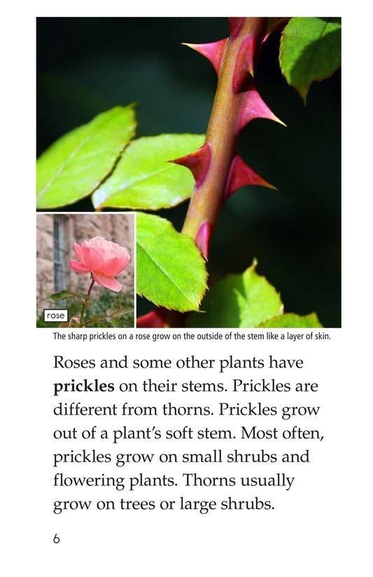 Plant Defenses绘本故事第5页