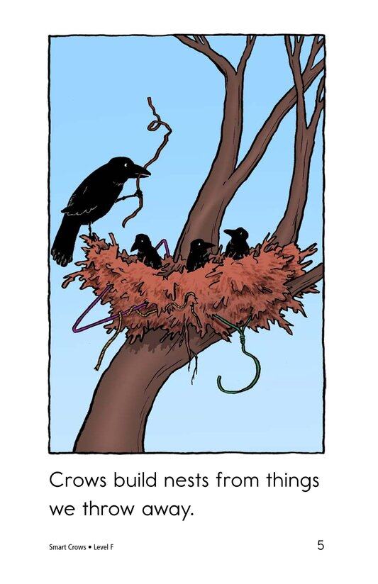 Smart Crows绘本故事第5页