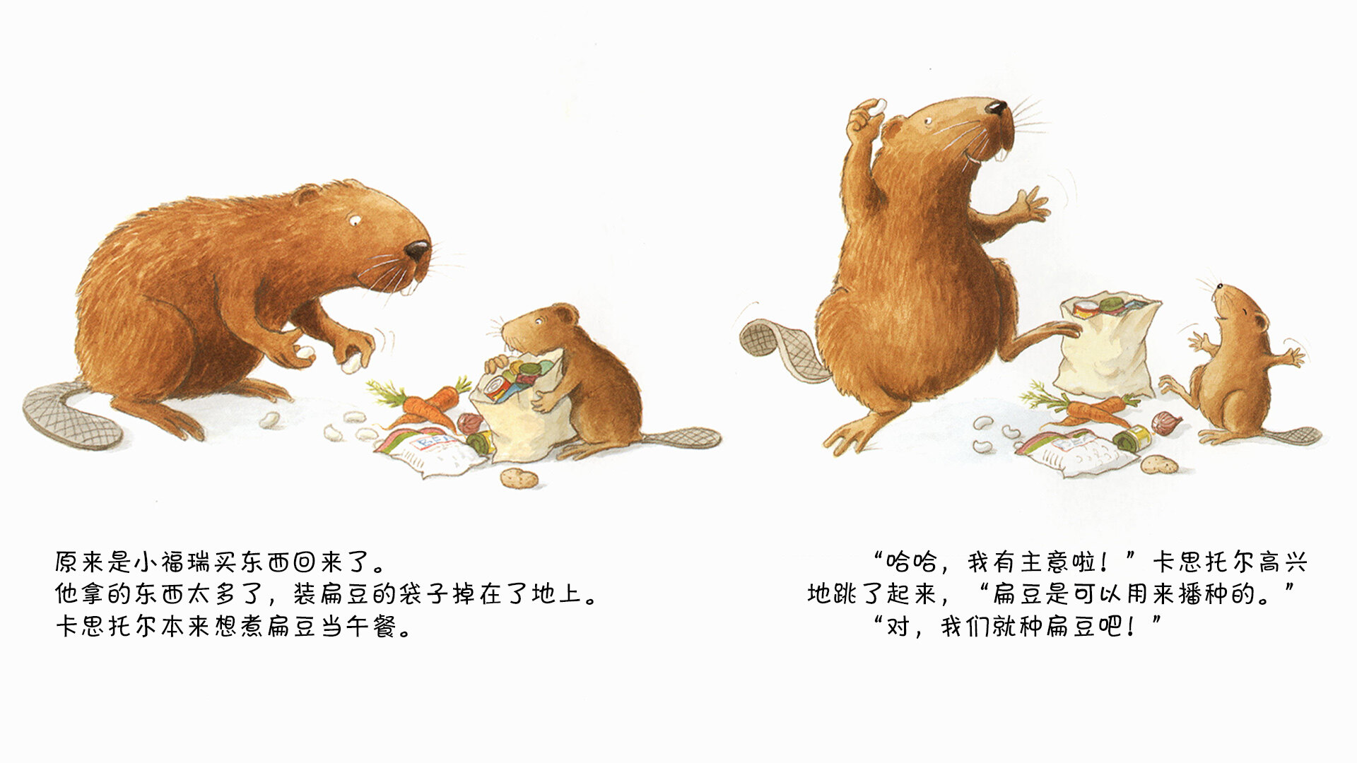 小海狸种扁豆绘本故事第5页