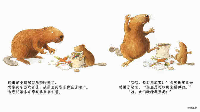 小海狸种扁豆绘本故事第5页