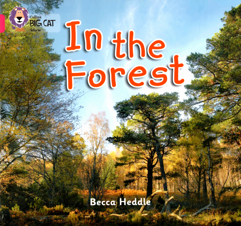 In the Forest绘本故事第2页