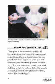 Giant Pandas绘本故事第5页