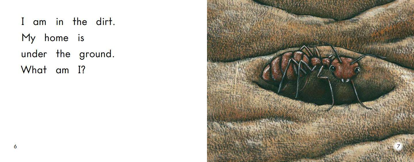 What am I绘本故事第5页