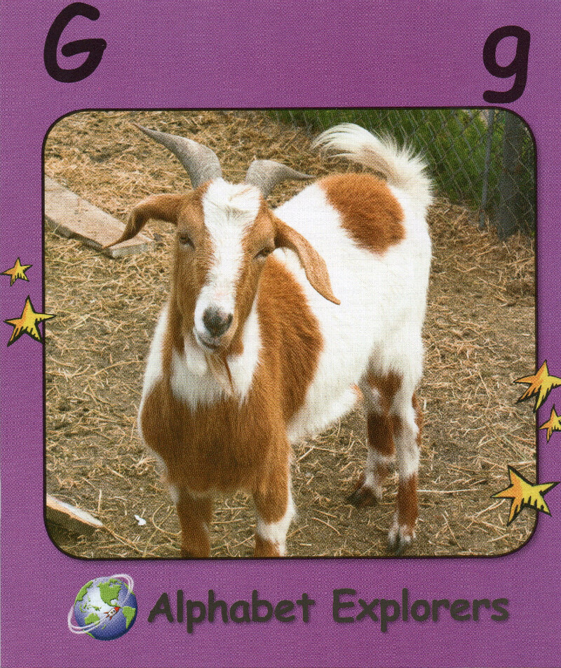 G绘本故事第2页