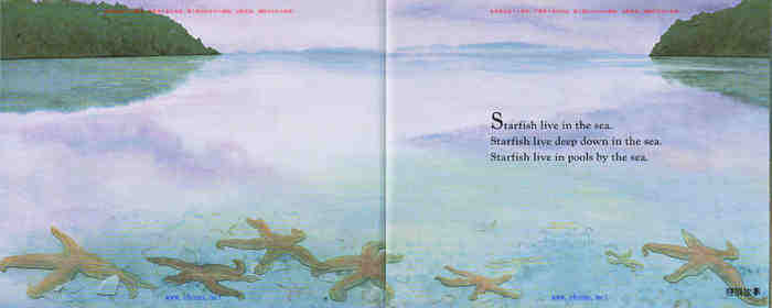 Starfish绘本故事第3页
