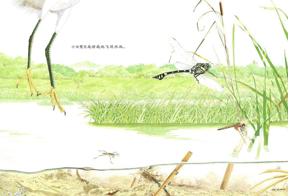 耕林童书馆·池上池下绘本故事第3页