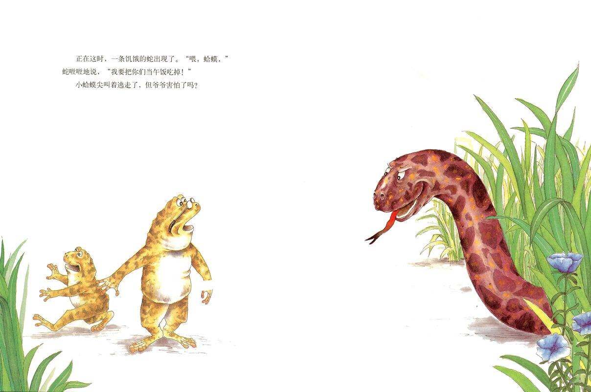 蛤蟆爷爷的秘诀绘本故事第4页