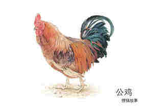 小动物们来坐车绘本故事第3页
