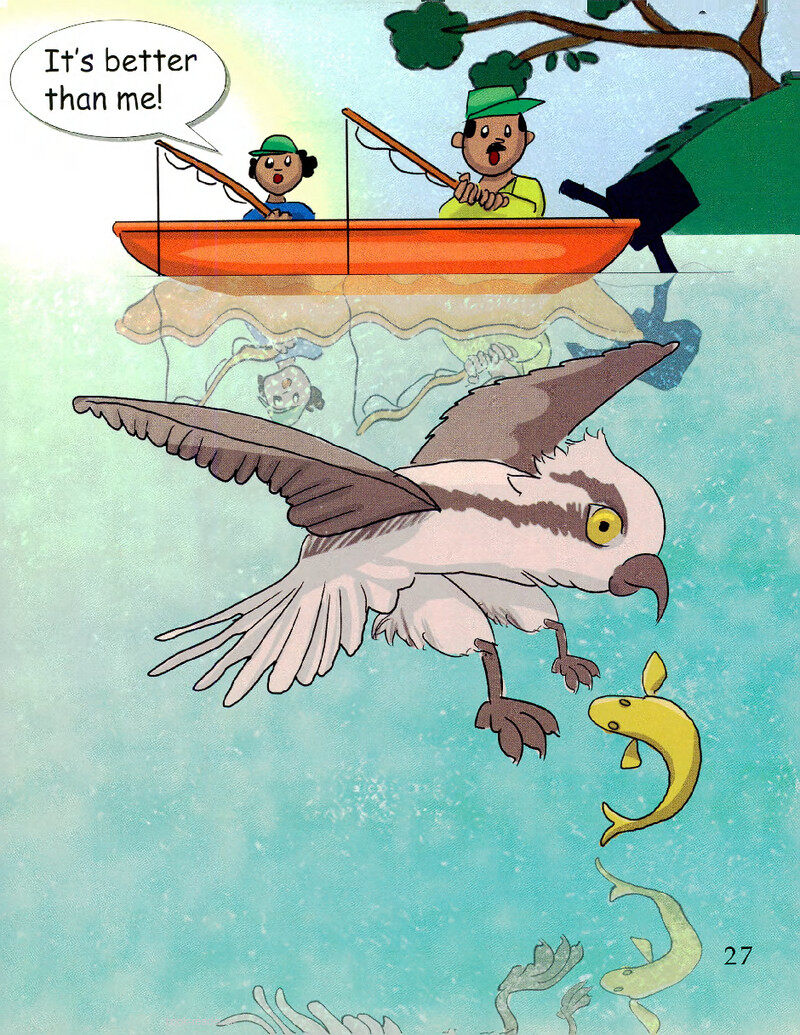 Fishing绘本故事第3页