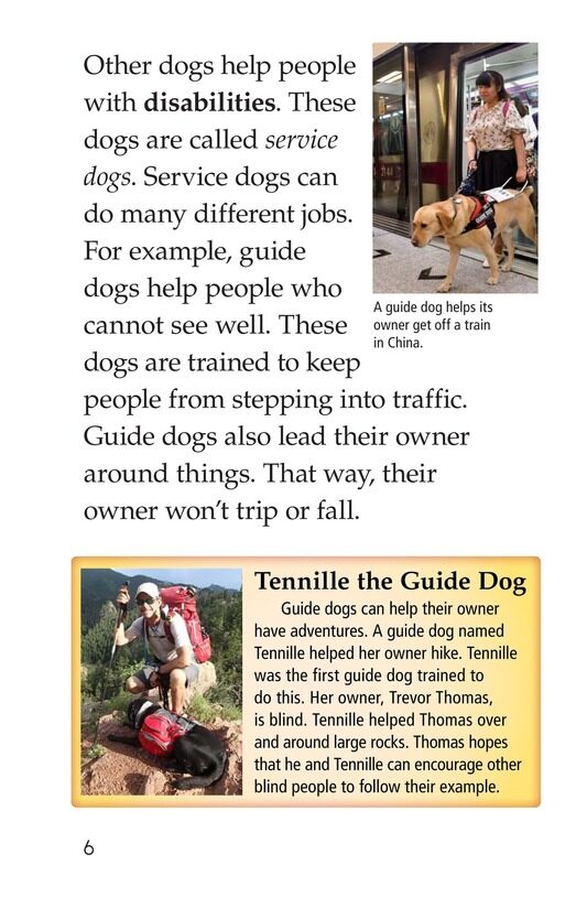 Dogs at Work绘本故事第5页