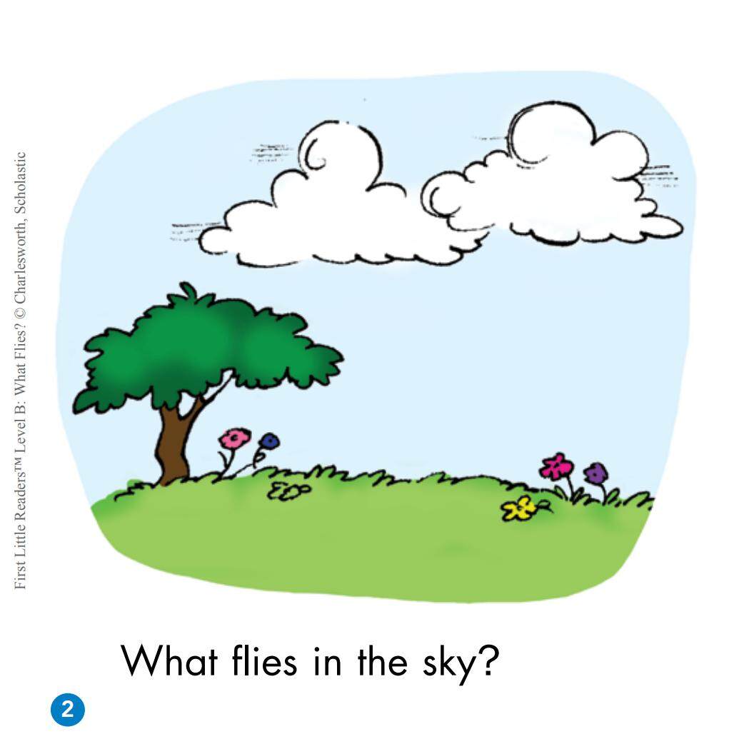 What Flies?绘本故事第3页
