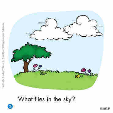 What Flies?绘本故事第3页