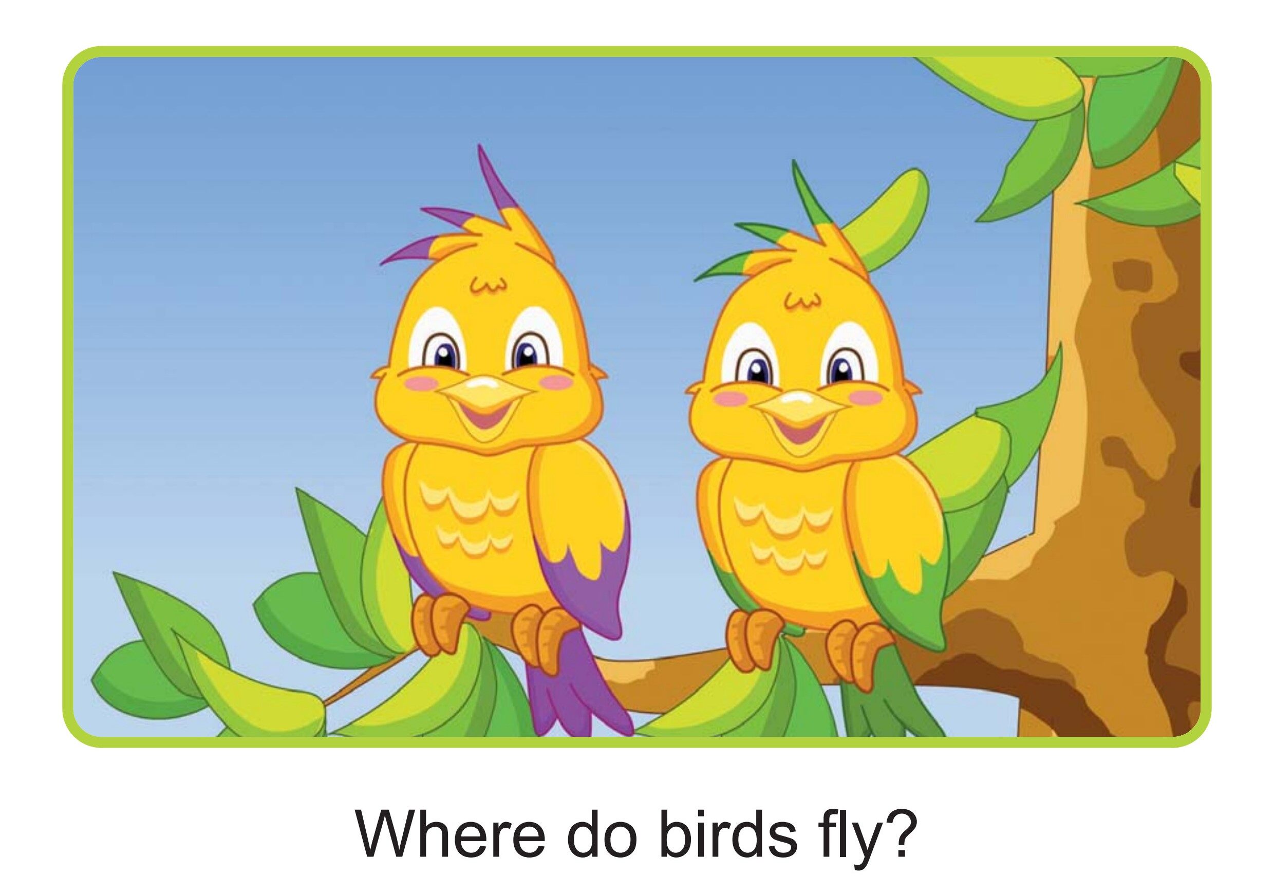 Where?绘本故事第2页