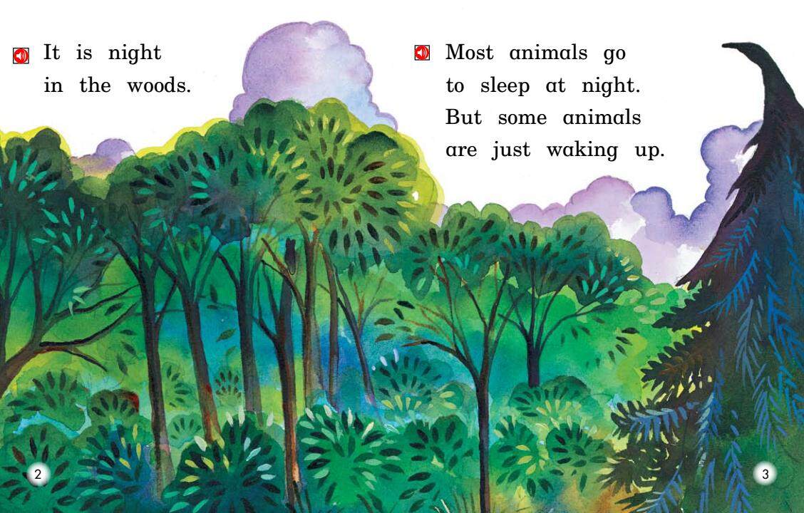 A walk at Night绘本故事第3页