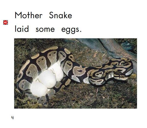 Eggs绘本故事第5页