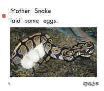Eggs绘本故事第5页