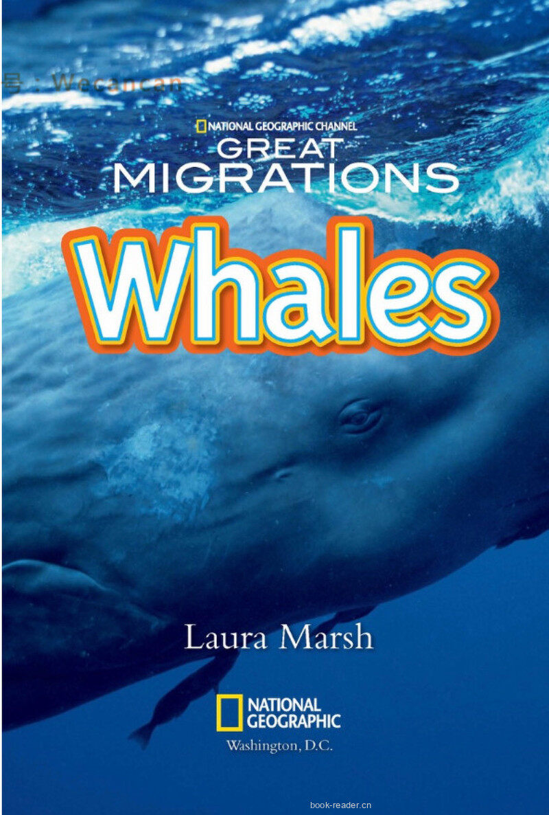 Whales绘本故事第2页