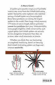 Goliath Bird Eating Spiders Giant Arachnids绘本故事第3页