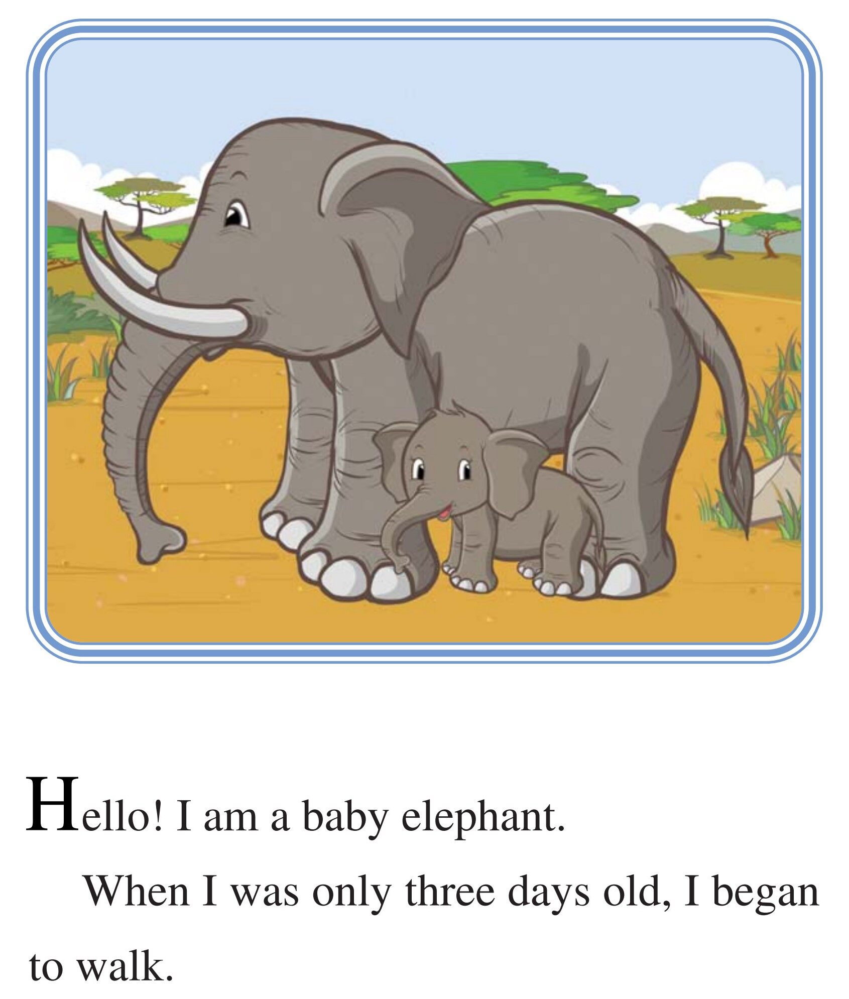 The Baby Elephant绘本故事第3页