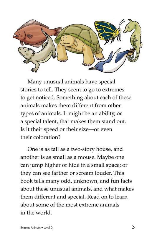 Extreme Animals绘本故事第3页