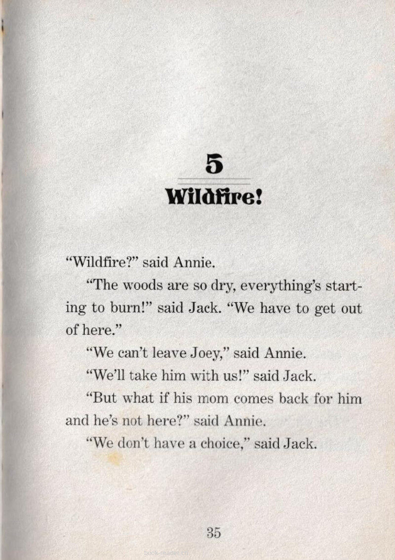 05 Wildfire!绘本故事第2页