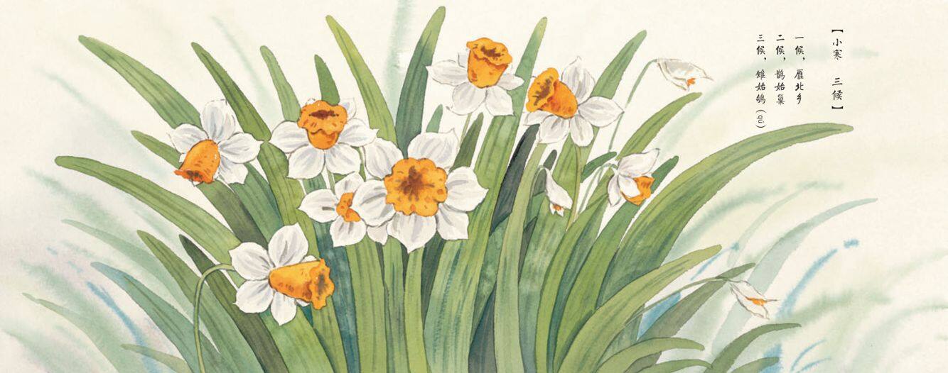 小寒·种水仙绘本故事第2页
