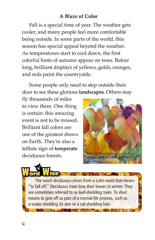 Temperate Deciduous Forests绘本故事第3页