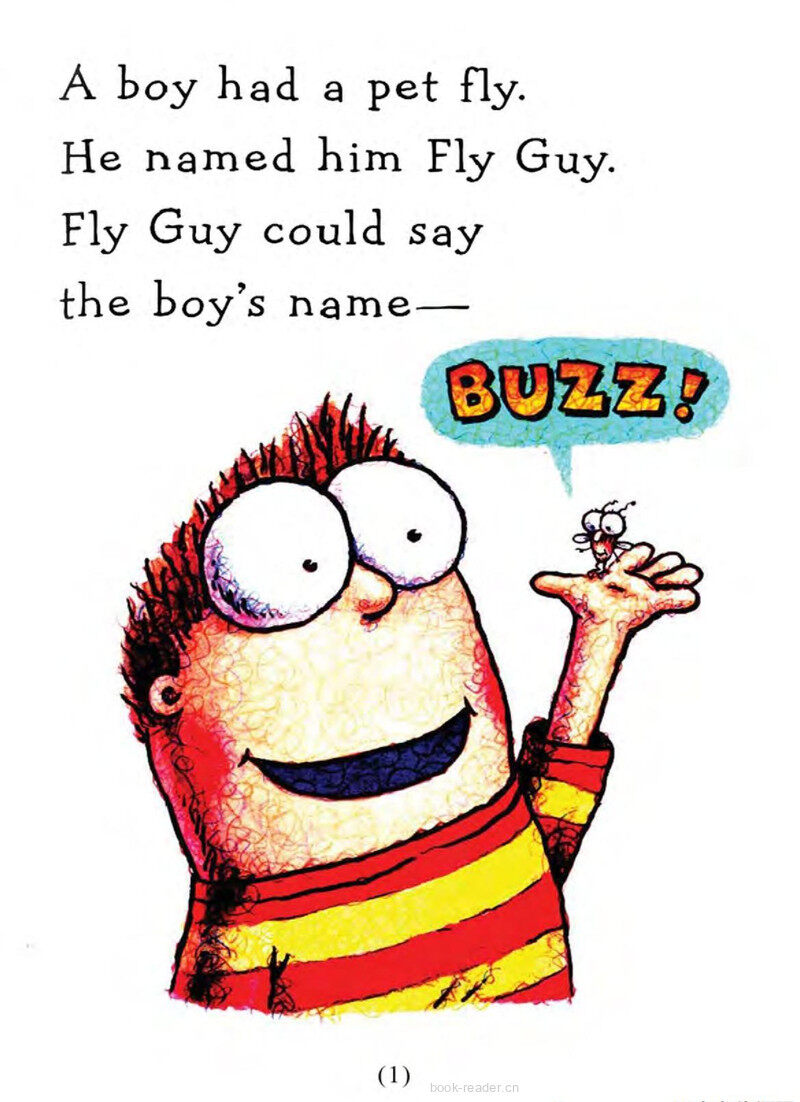 Fly High Fly Guy绘本故事第3页