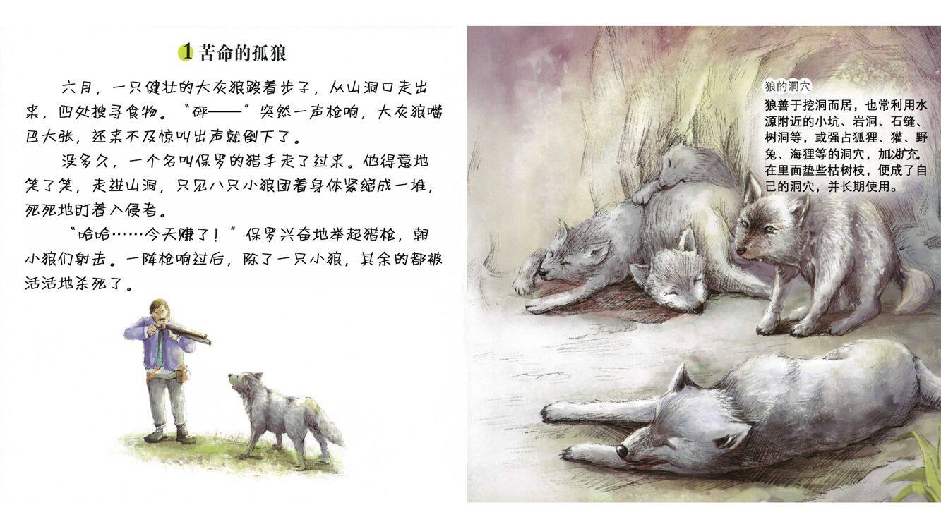 顽强的威尼派克狼绘本故事第4页