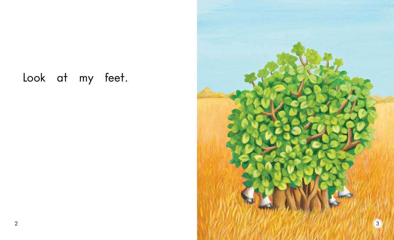 Look绘本故事第3页