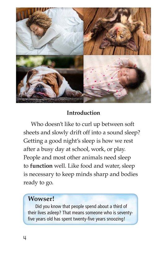 Why We Sleep绘本故事第3页