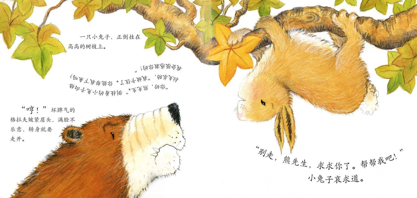 暖房子经典绘本系列·第二辑·友爱篇：坏脾气的格拉夫绘本故事第4页