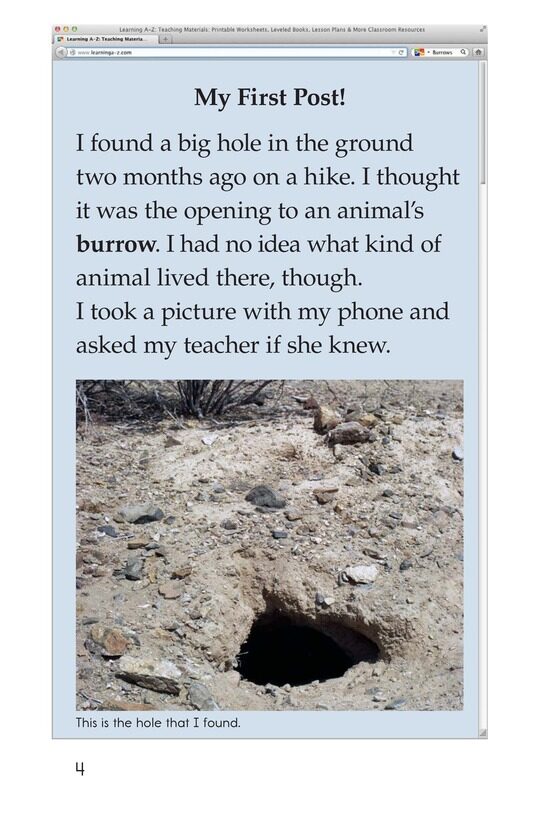 What Lives in This Hole绘本故事第3页