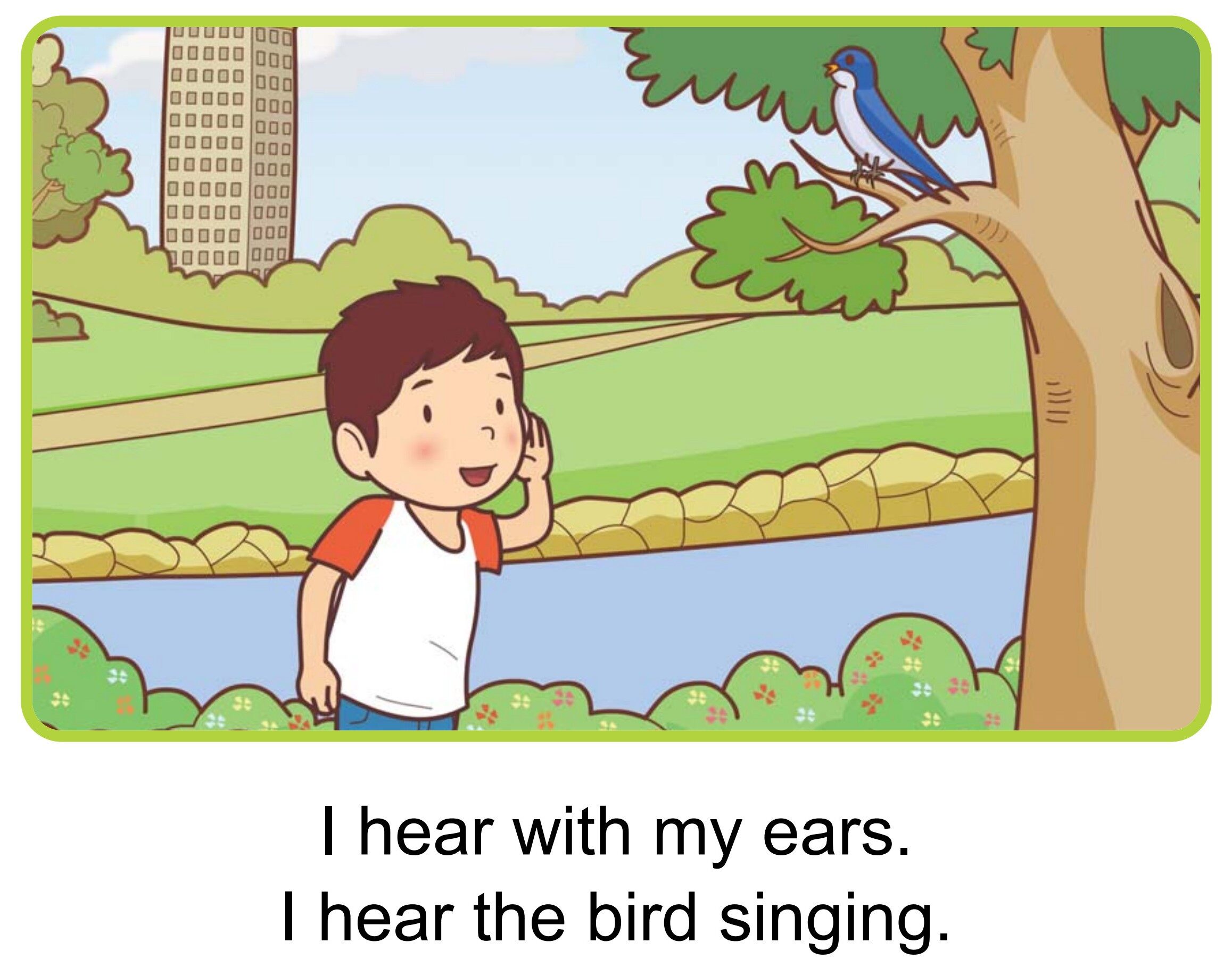 My Five Senses绘本故事第5页