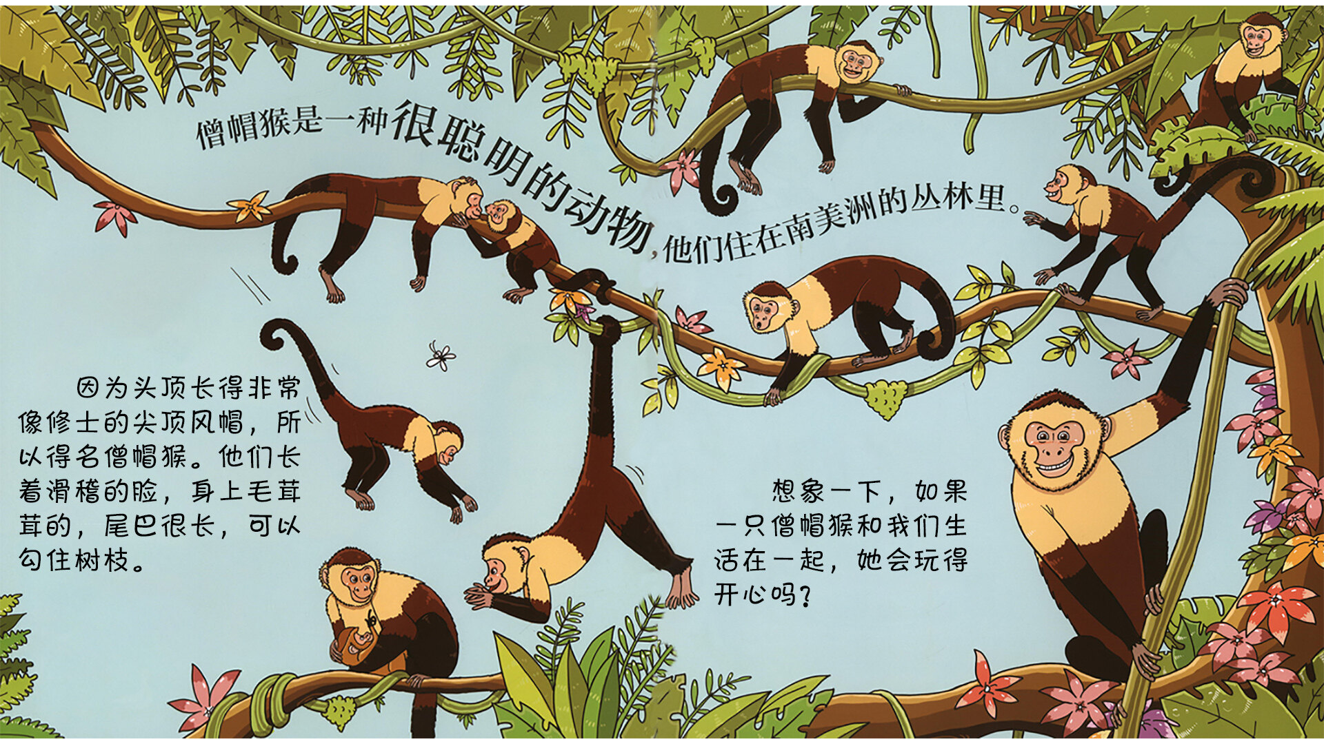 猴子会玩滑水吗？绘本故事第3页